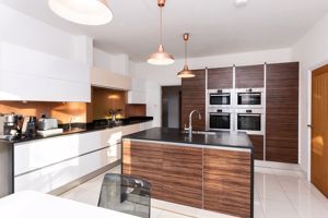 Contemporary Kitchen With Appliances